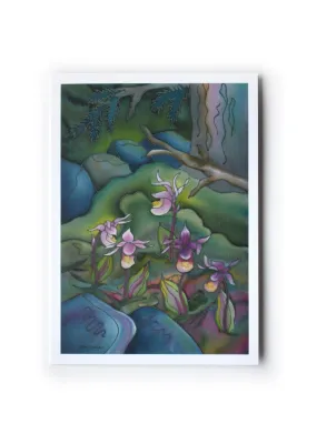 Calypso Orchids Art Card | 5" x 7"