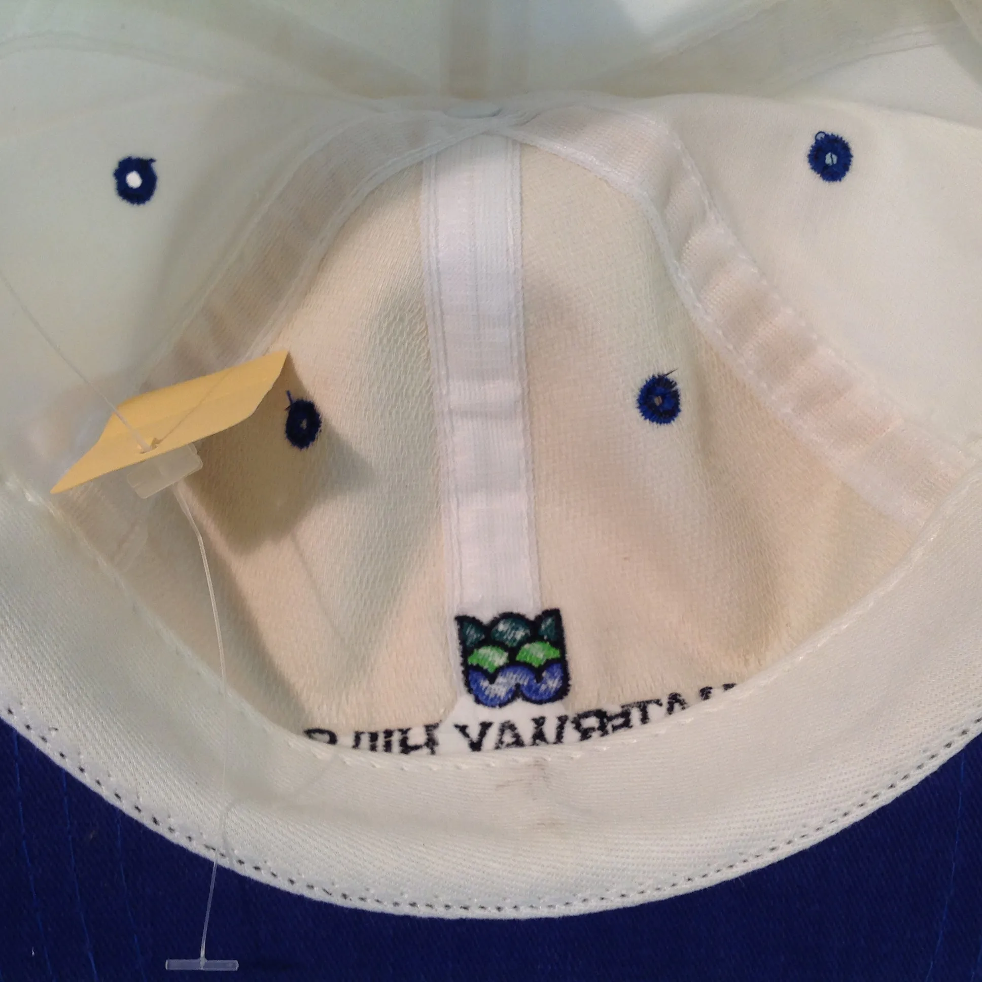 Vintage Cali Fame Robert Trent Jones Design Waterway Hills Myrtle Beach Golf Souvenir White Baseball Cap